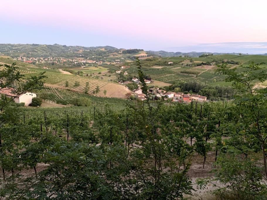 Apart-Agriturismo "La Colomba" Nizza Monferrato Eksteriør bilde